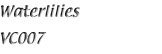 Name