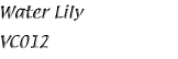 Name