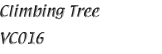Name