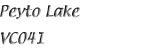 Name
