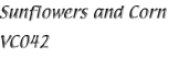 Name