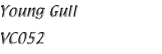 Name