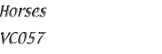 Name