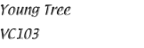 Name