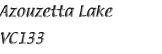 Name133