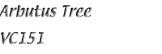Name151