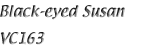 Name