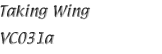 Name