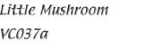 Name