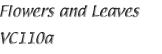 Name