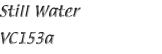 Name