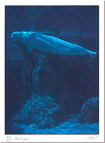 VC154